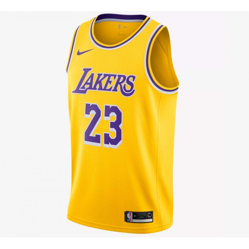 Camiseta Lebron James Swingman Icon Edition Los Lakers ...